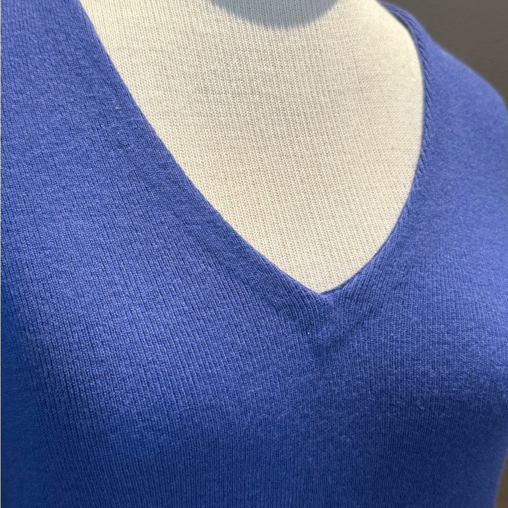Banana Republic NWT V-Neck Sweater in Vibrant Royal Blue/Purple